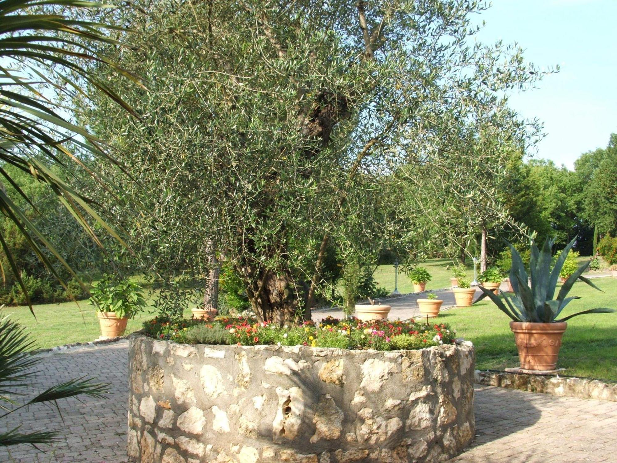 Hotel Il Pietreto Colle Val D'Elsa Exterior photo